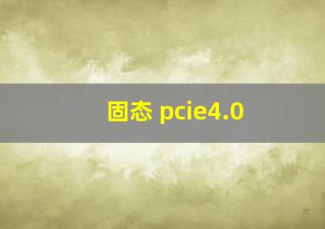 固态 pcie4.0